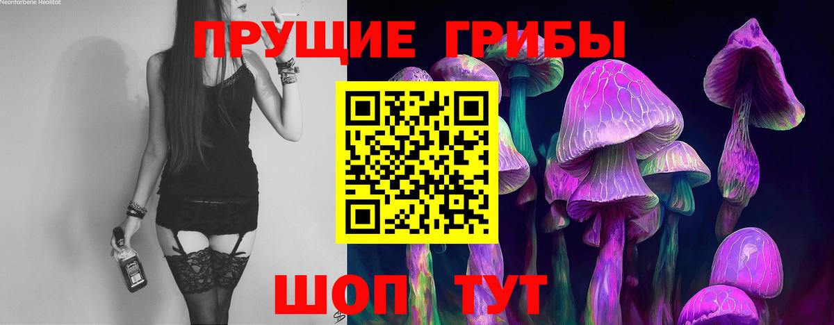Псилоцибиновые грибы ЛСД Лысьва